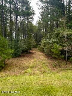 1217 &1223 Winding Ridge Drive, Tignall, GA 30668