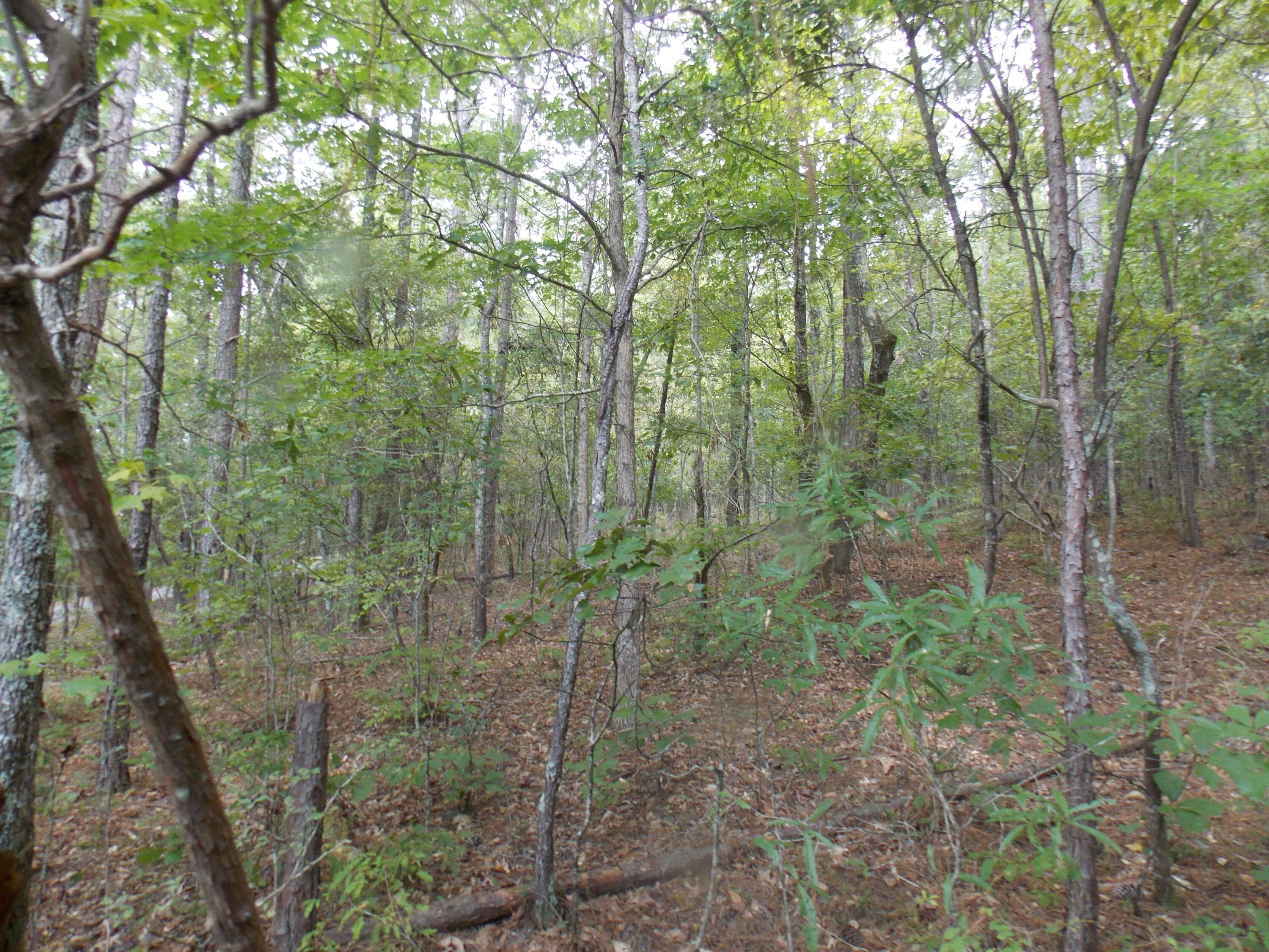 Residential Lot at 11 Doe Run, Lincolnton, GA 30817, photo 3 of 3