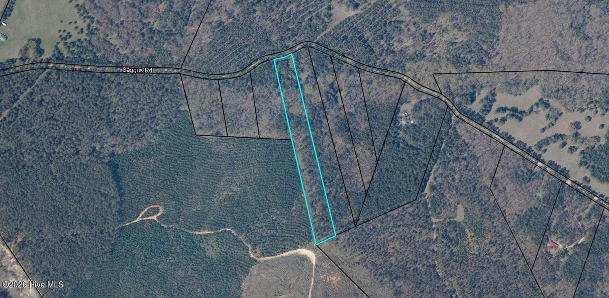 Agriculture at Lot 4 Saggus Road, Washington, GA 30673, photo 25 of 25