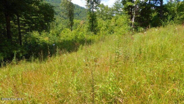 Residential Lot at 16 16 Tyler Ridge, Murphy, NC 28906, photo 5 of 6
