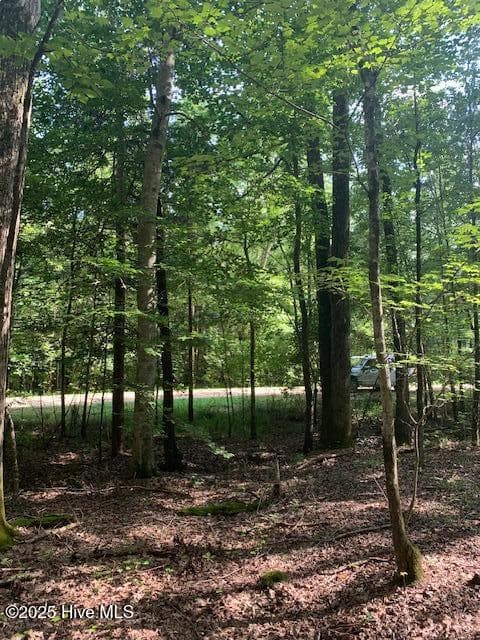 Residential Land at 54 54 Palomino Road, Carthage, NC 28327, photo 18 of 20