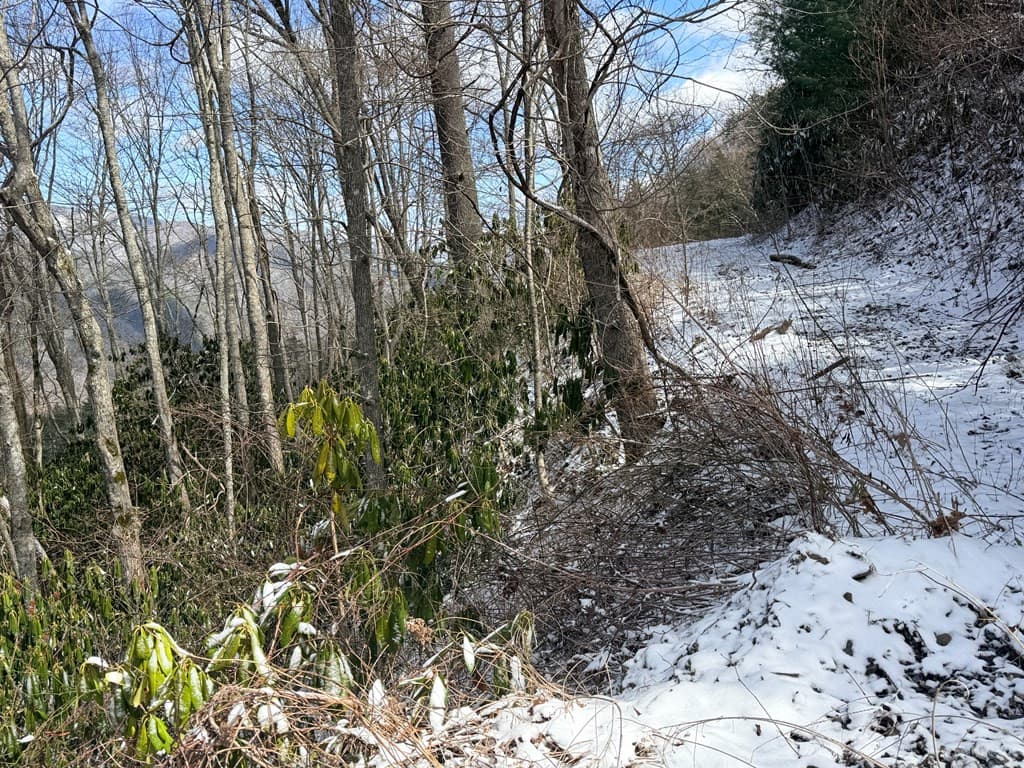 Residential Lot at Lot# 13 13 Noon Day Sun Road, Topton, NC 28781, photo 5 of 7