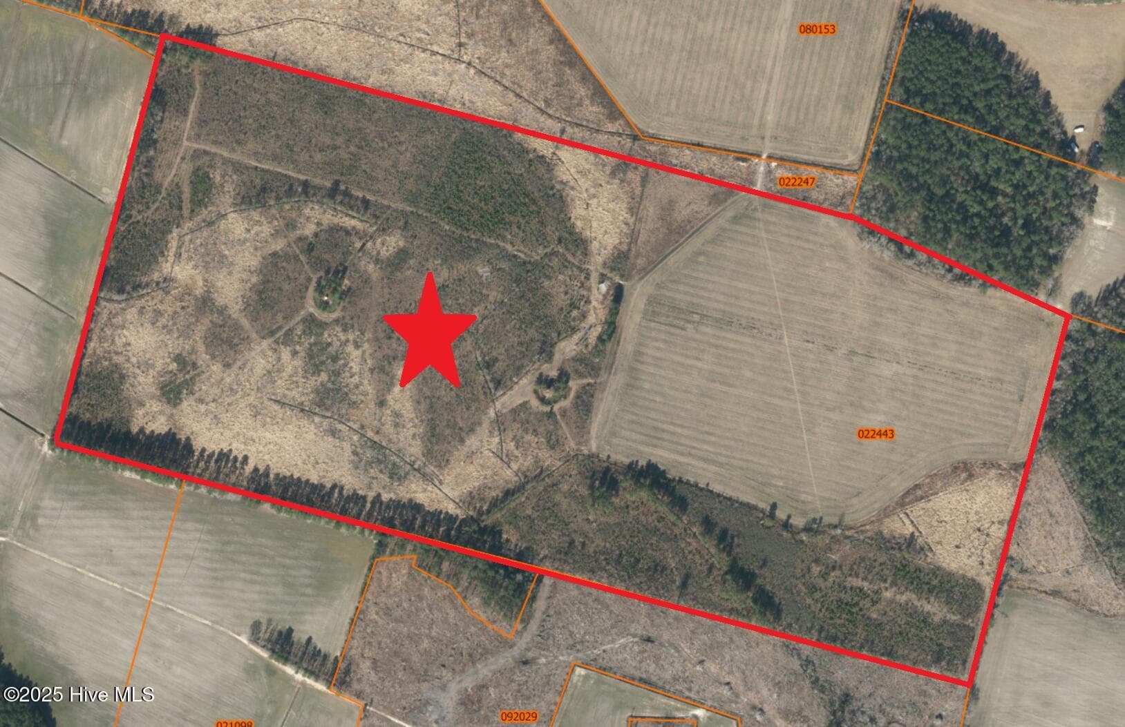 Farm at 0 Near 685 Rossie Ober Road, Whiteville, NC 28472, photo 3 of 9