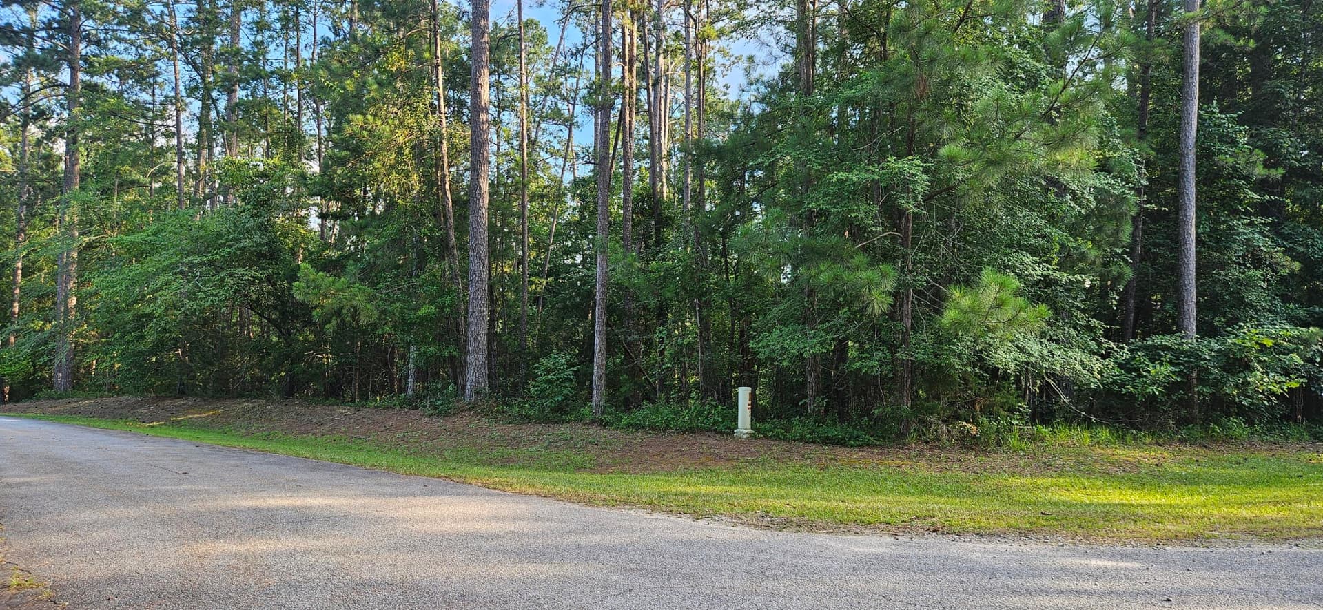 Residential Lot at Bl 6 Lot 9 9 Davis Drive, McCormick, SC 29835, photo 2 of 4