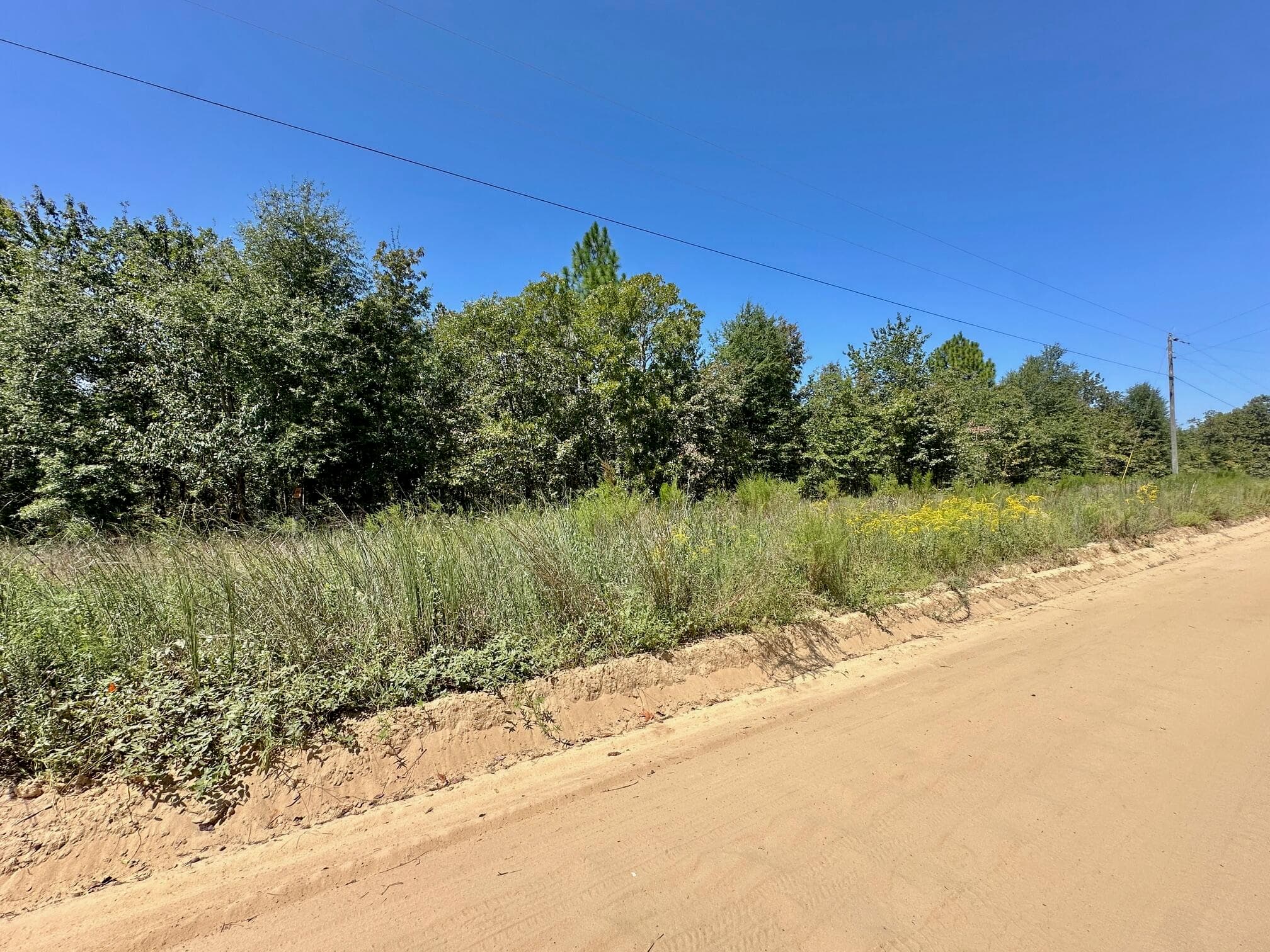Undeveloped at Lot 11 Marie Vann Road, Waynesboro, GA 30830, photo 6 of 16