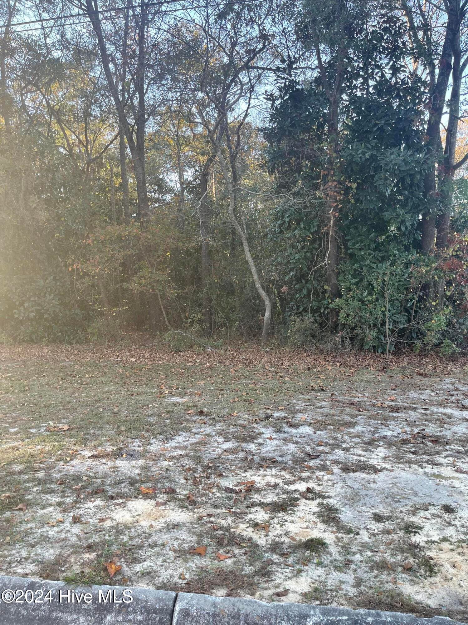 Wooded at 408 Lot 4, Block F, Lake Pines Drive, La Grange, NC 28551, photo 11 of 12