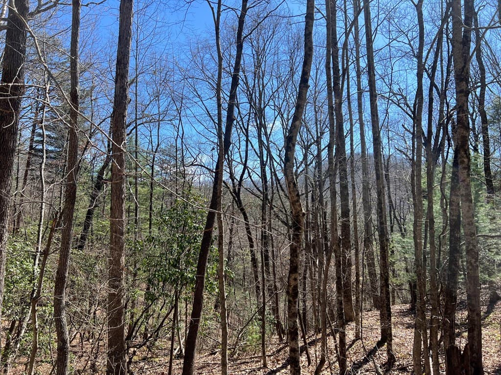 Residential Lot at Lots High View Rd Wolf Mountain Estates, Murphy, NC 28906, photo 13 of 18