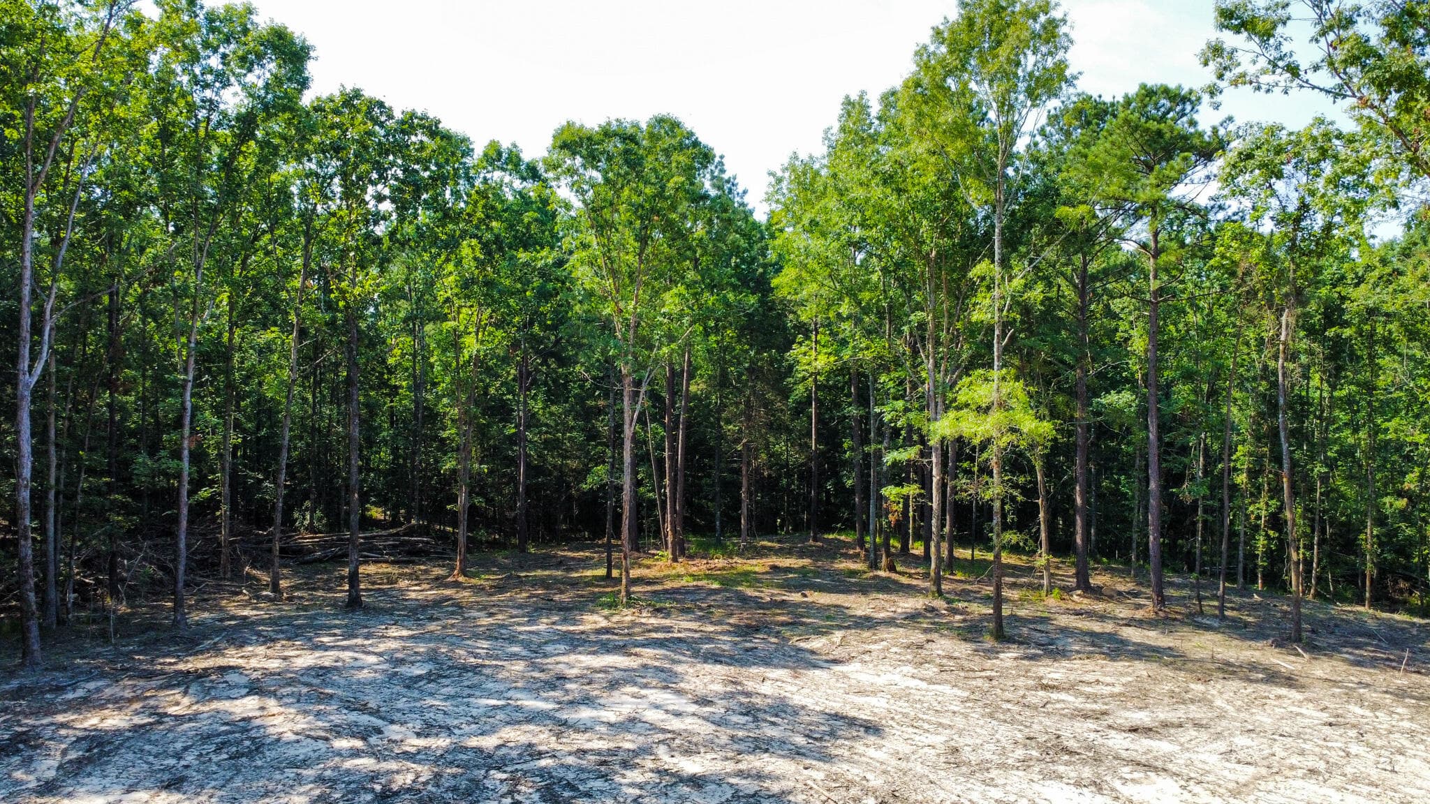 Undeveloped at 0 Backway Road, Lincolnton, GA 30817, photo 31 of 48