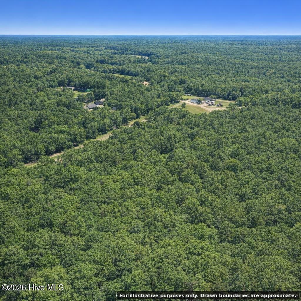 Undeveloped at 0 Copperhead Lane, Burgaw, NC 28425, photo 23 of 24