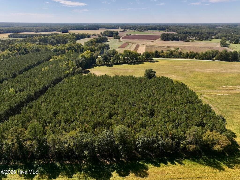 Mixed Use at 0 Spring Hill Road, Scotland Neck, NC 27874, photo 74 of 93