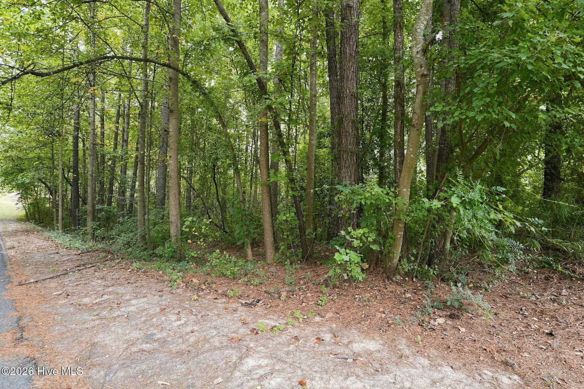 Residential Lot at 134 Bellhaven Drive, Carthage, NC 28327, photo 3 of 9