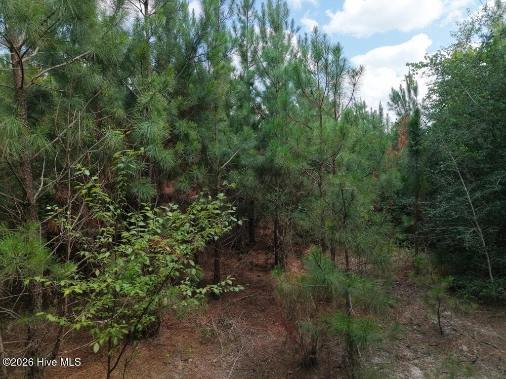 Residential Lot at 1581 Doubs Chapel Road, West End, NC 27376, photo 8 of 10