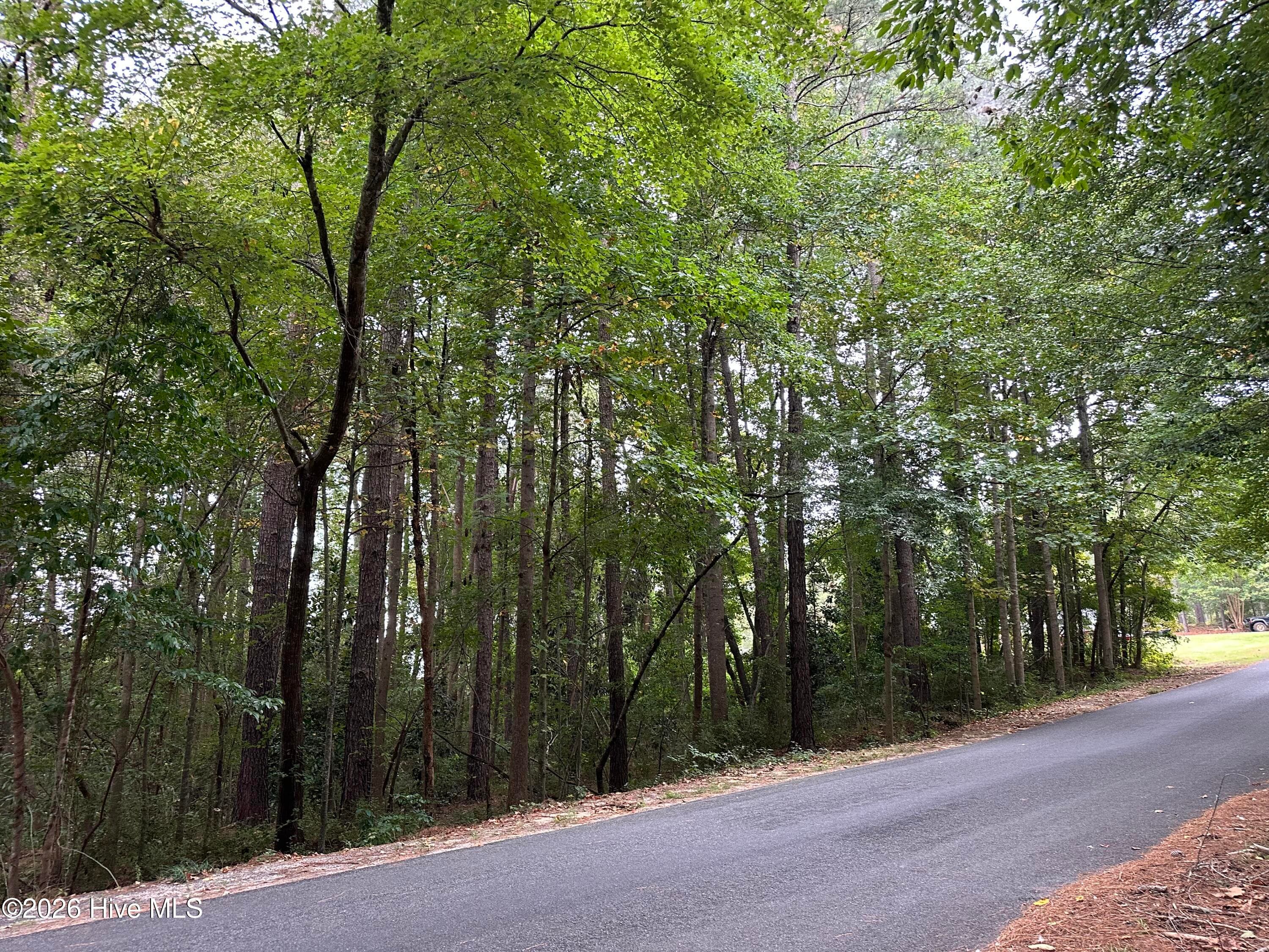 Residential Lot at 134 Bellhaven Drive, Carthage, NC 28327, photo 9 of 9