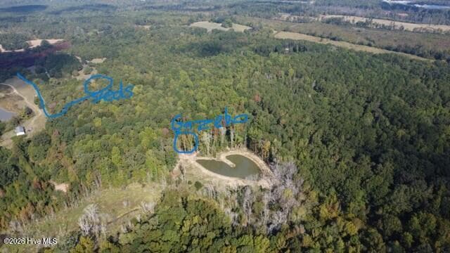 Mixed Use at 000 Court Ground Road, Washington, GA 30673, photo 46 of 52