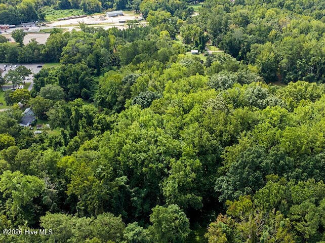 Wooded at Tbd Cedar Street, Rockingham, NC 28379, photo 9 of 18