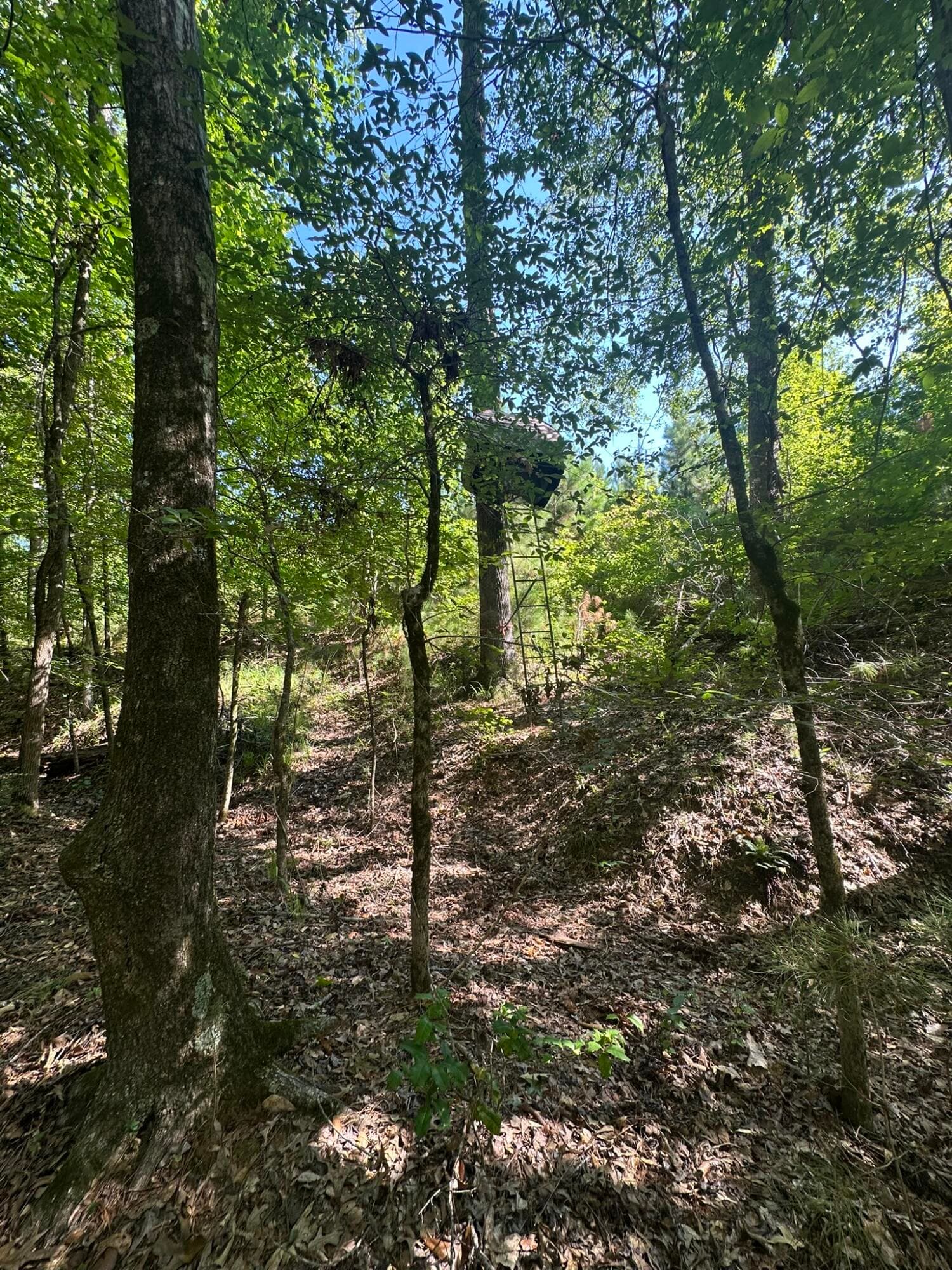 Mixed Use at Lot 3a 3A Elberton Highway, Lincolnton, GA 30817, photo 17 of 27