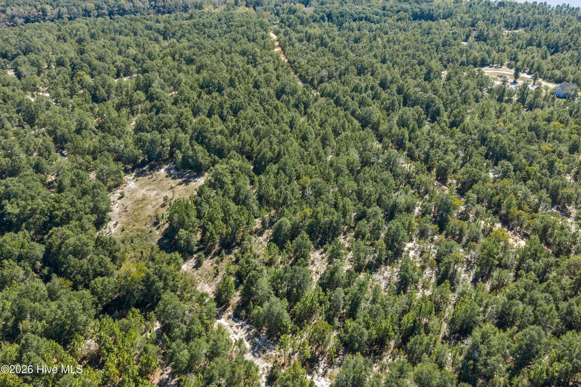 Residential Lot at 000.0 Mary Rawls Road, Wagener, SC 29164, photo 12 of 21