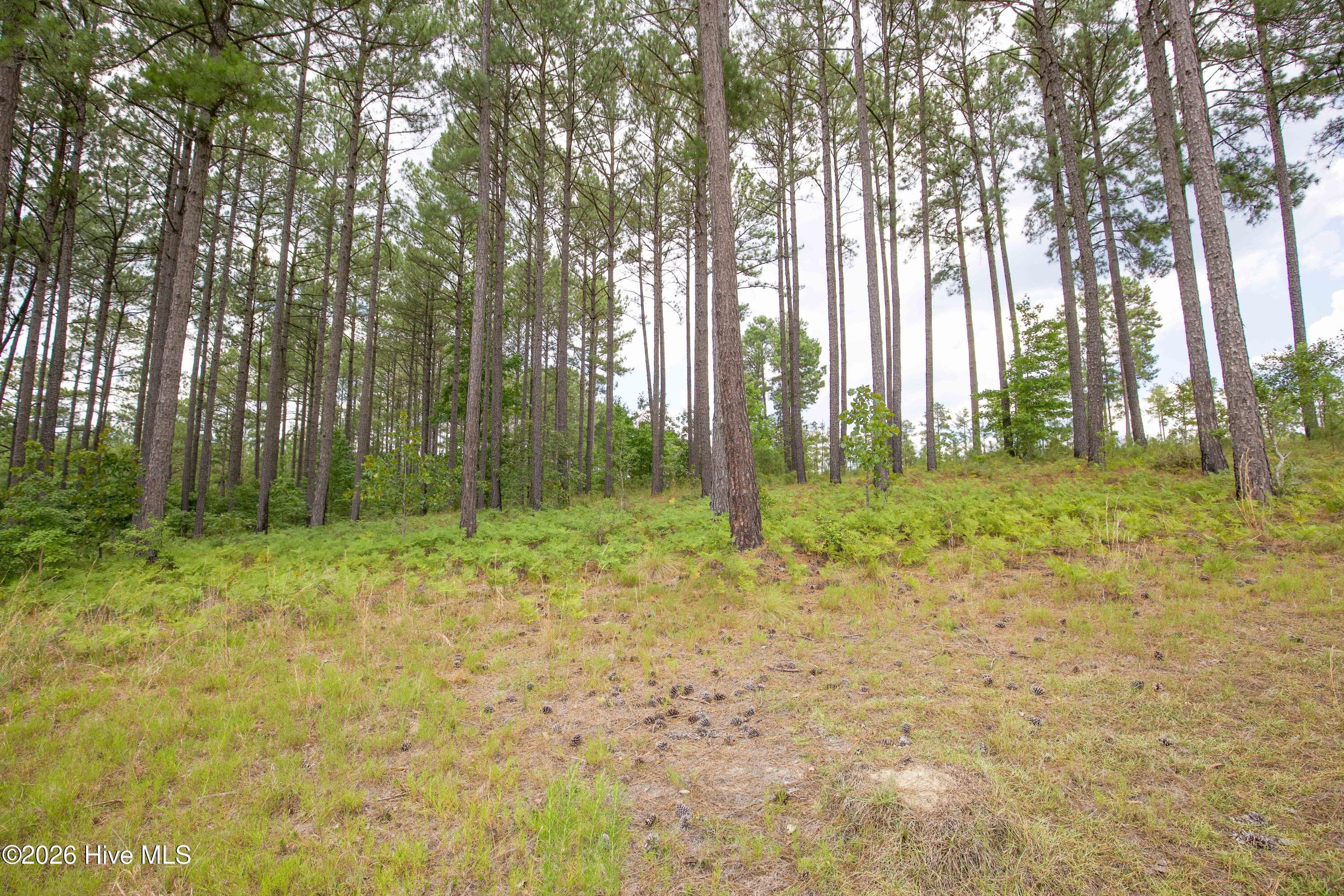 Horse Farm at 220 44B Justin Way, Foxfire Village, NC 27281, photo 42 of 69