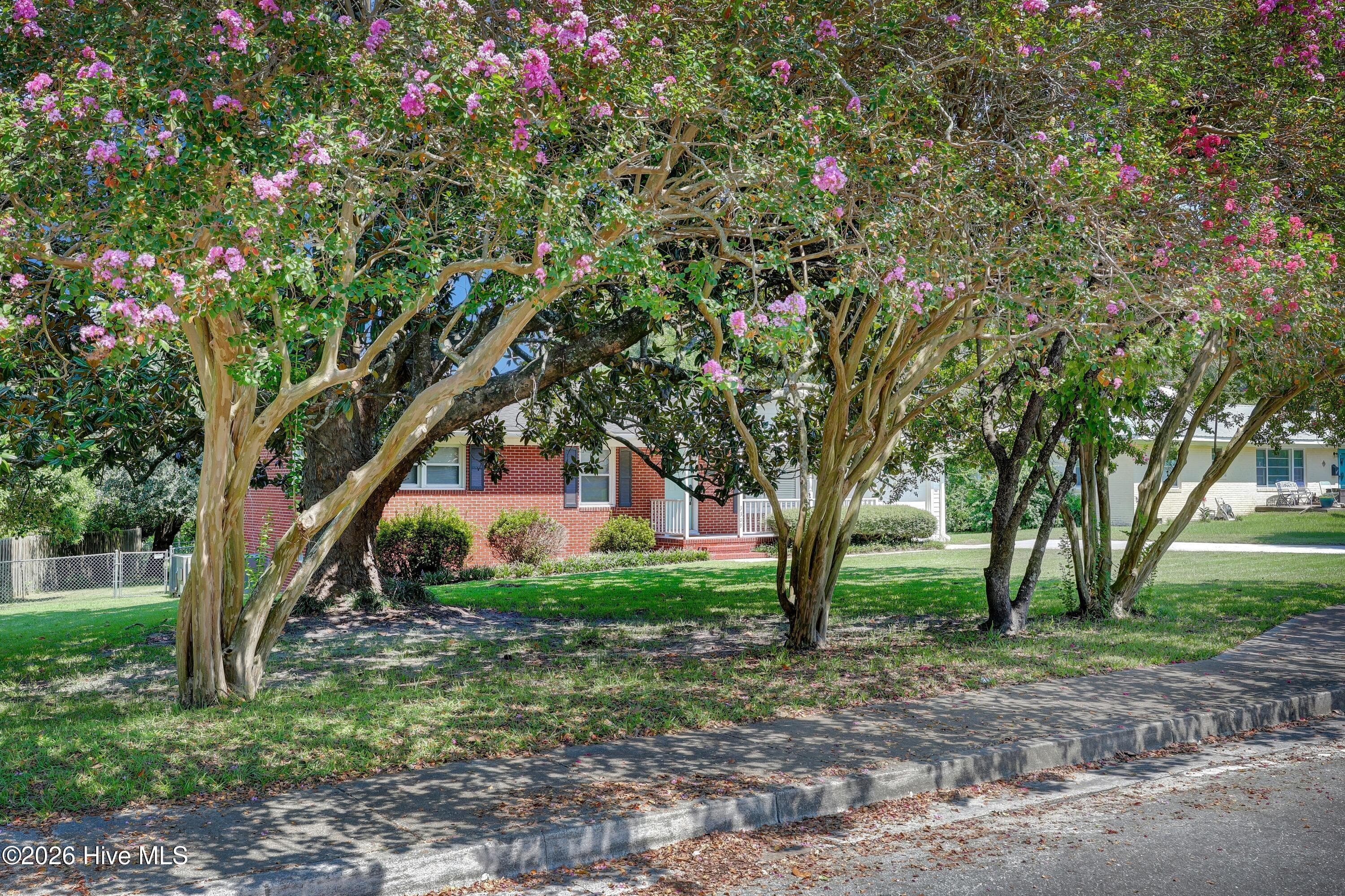Single Family Residence at 3309 Winston Boulevard, Wilmington, NC 28403, photo 2 of 31
