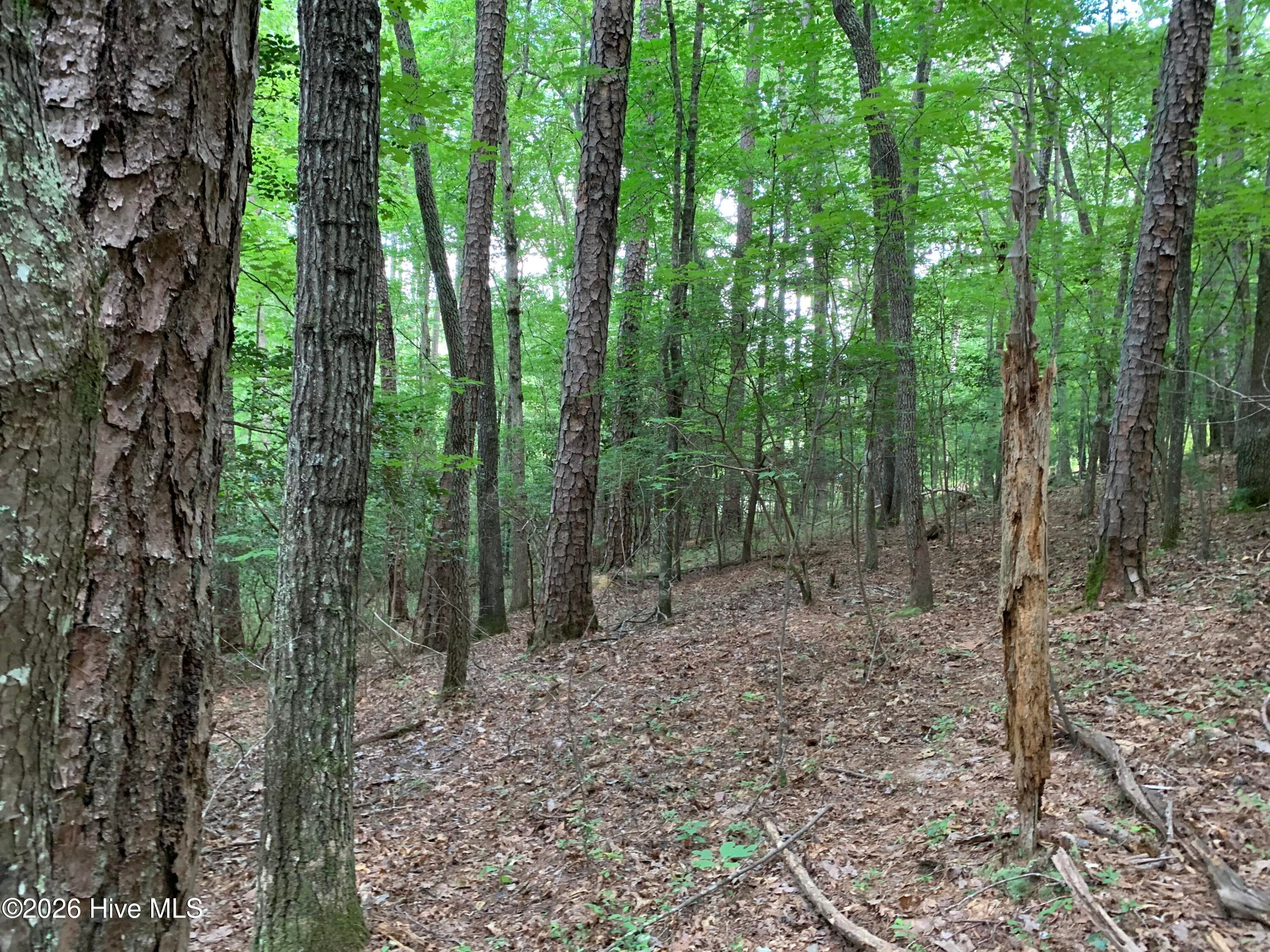 Wooded at 2.87 Ac Hedden Road, Murphy, NC 28906, photo 5 of 14