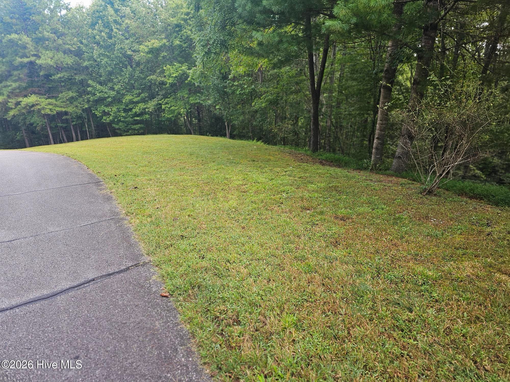 Residential Lot at 0 Wildcat Drive, Murphy, NC 28906, photo 3 of 11