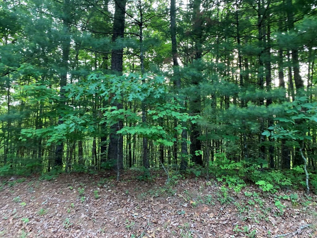 Land at Lot 43 Kestrel Ridge Circle, Murphy, NC 28906, photo 22 of 24