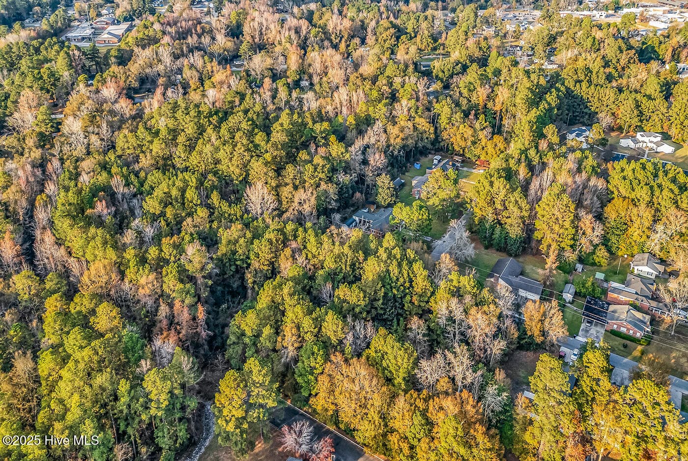 Residential Lot at 0 Woodrow Street, Tabor City, NC 28463, photo 6 of 11