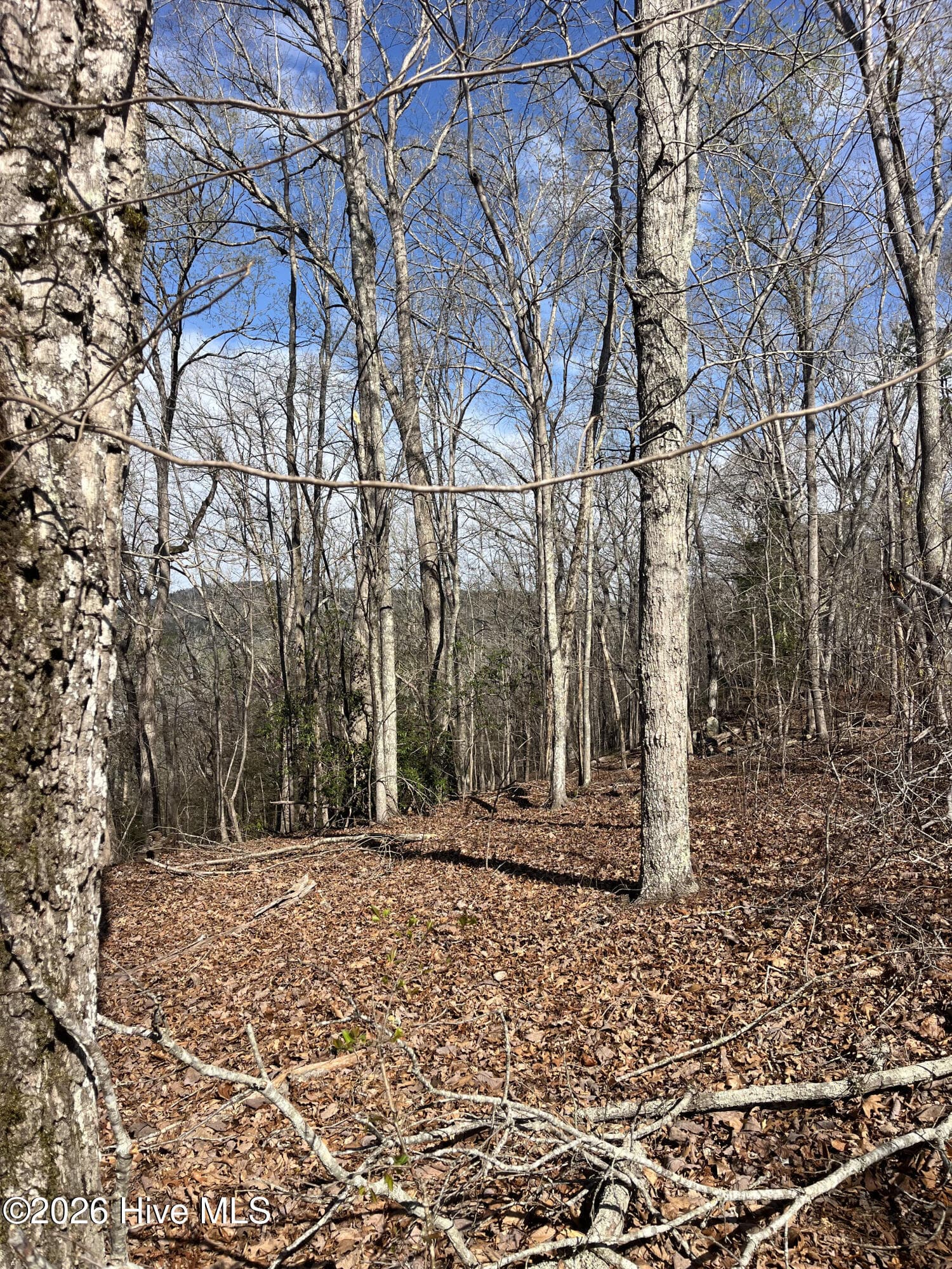 Undeveloped at Tbd Haltiwanger Retreat Road, Troy, NC 27371, photo 14 of 21