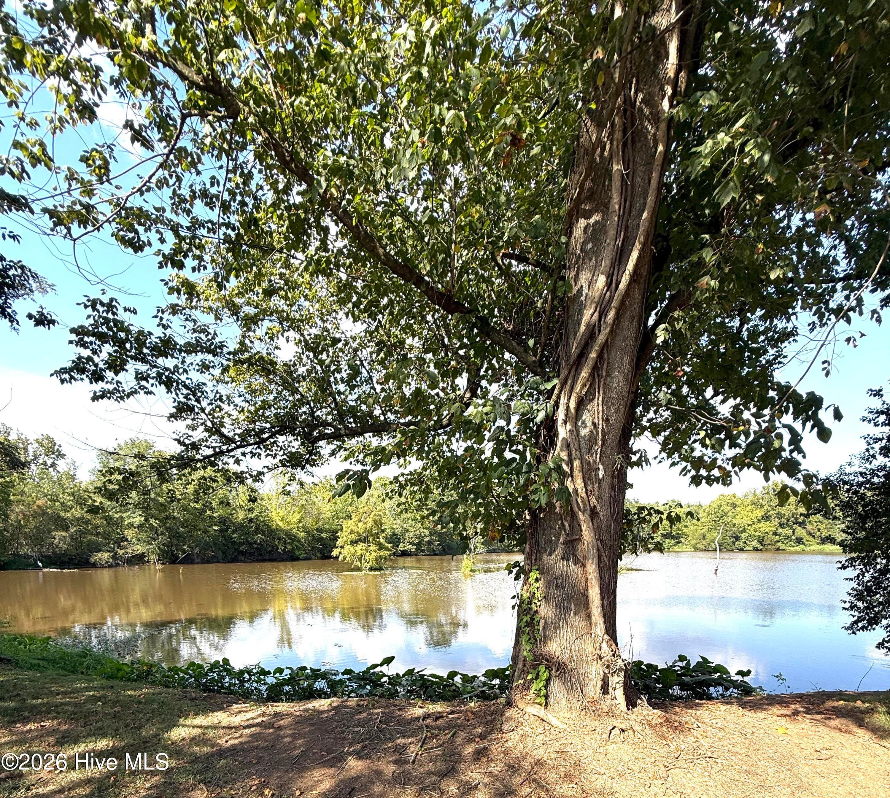Residential Lot at 191 2 Rivernorth Drive, North Augusta, SC 29841, photo 3 of 6