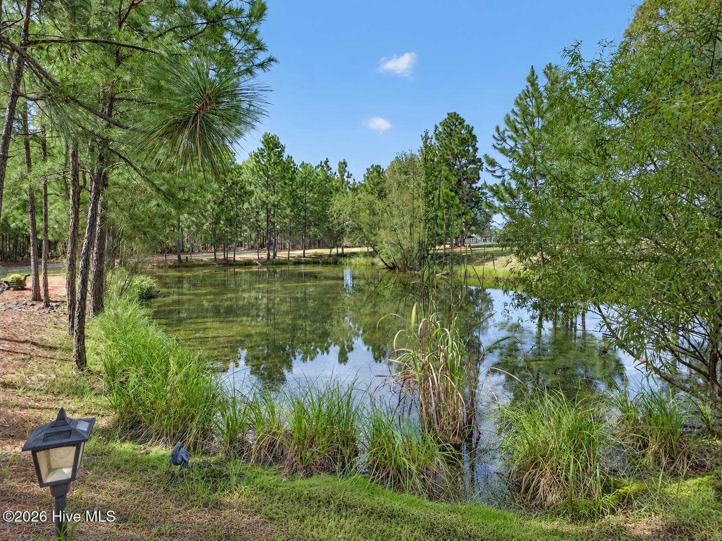 Single Family Residence at 505 Maxwell Road, Aiken, SC 29803, photo 12 of 68