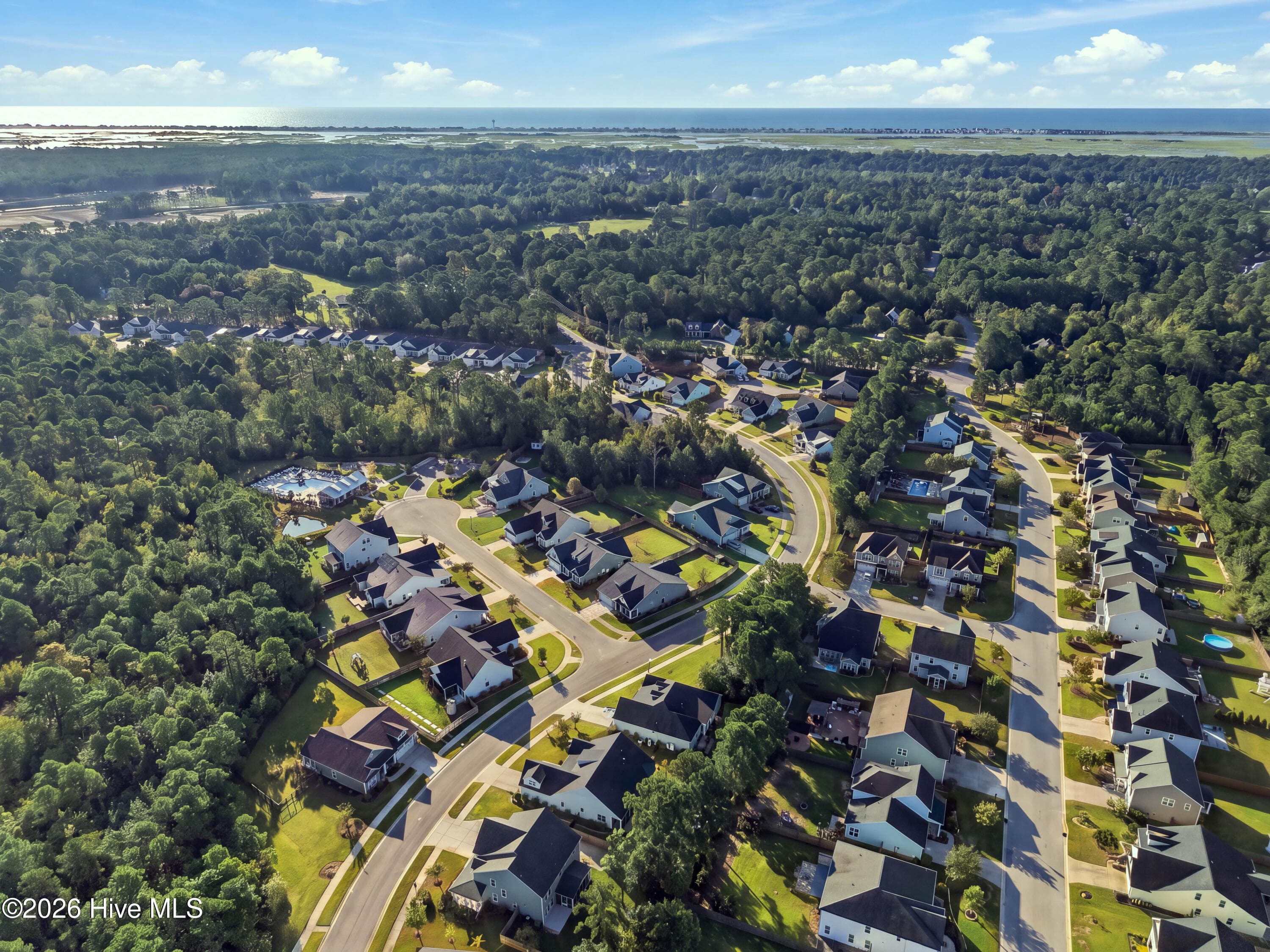 Back right Aerial - 11 Lemongrass Court, Hampstead, NC 28443