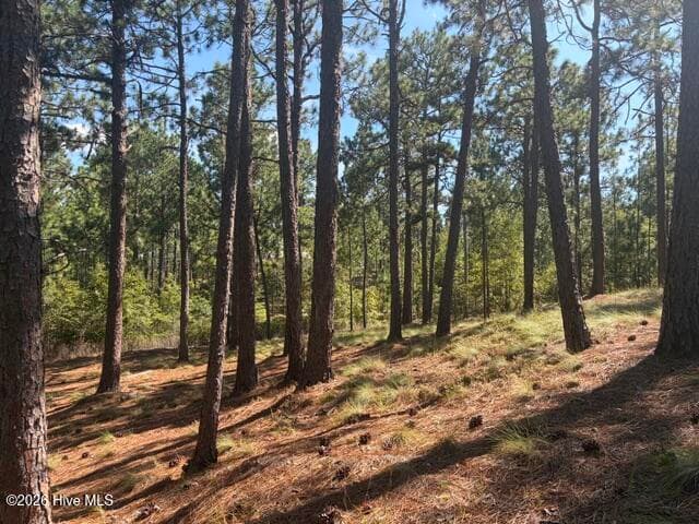 Wooded at Tbd Carthage Road, West End, NC 27376, photo 6 of 10