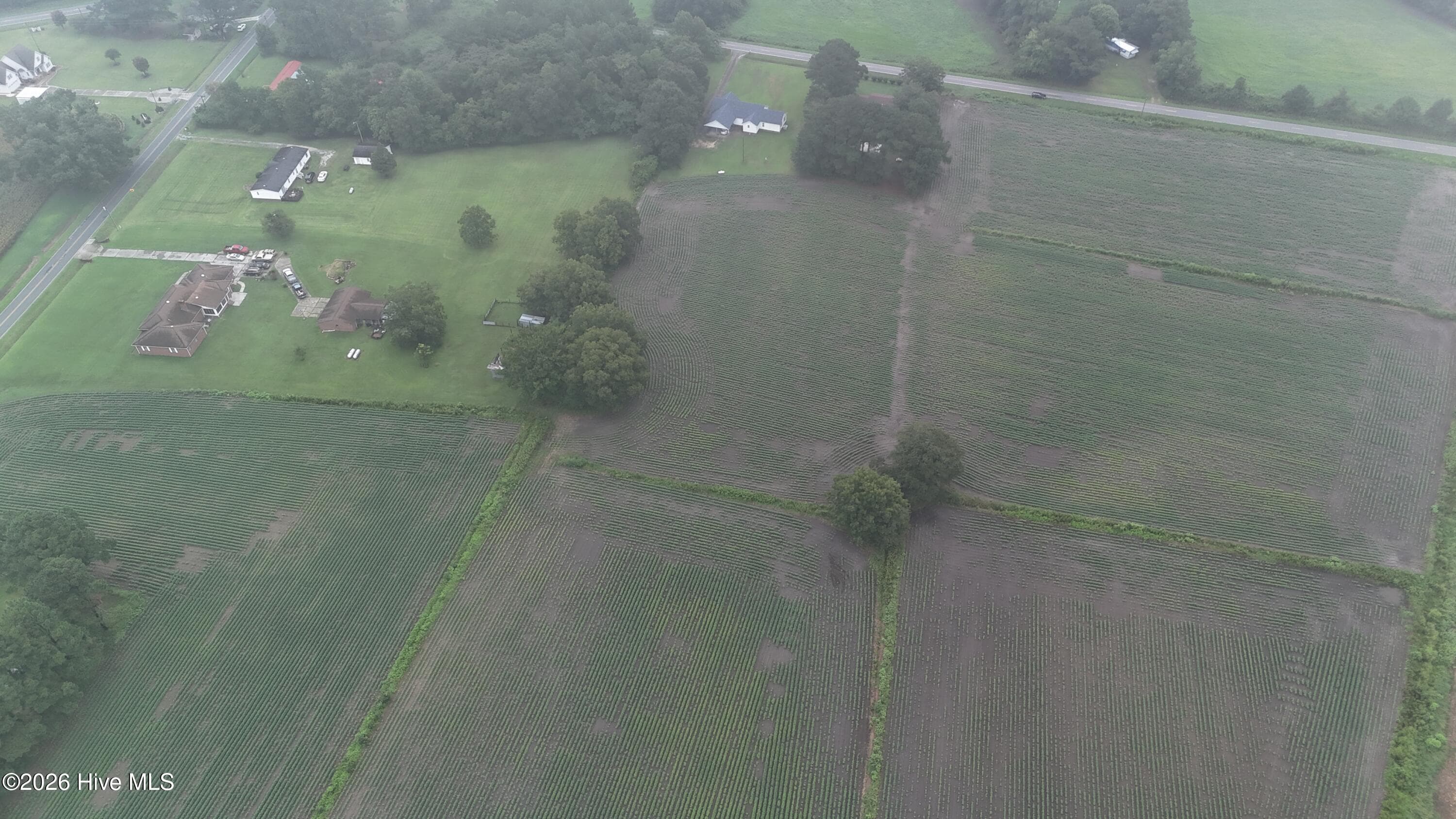 Agriculture at Near 128 Bay Rd., Rose Hill, NC 28458, photo 11 of 21