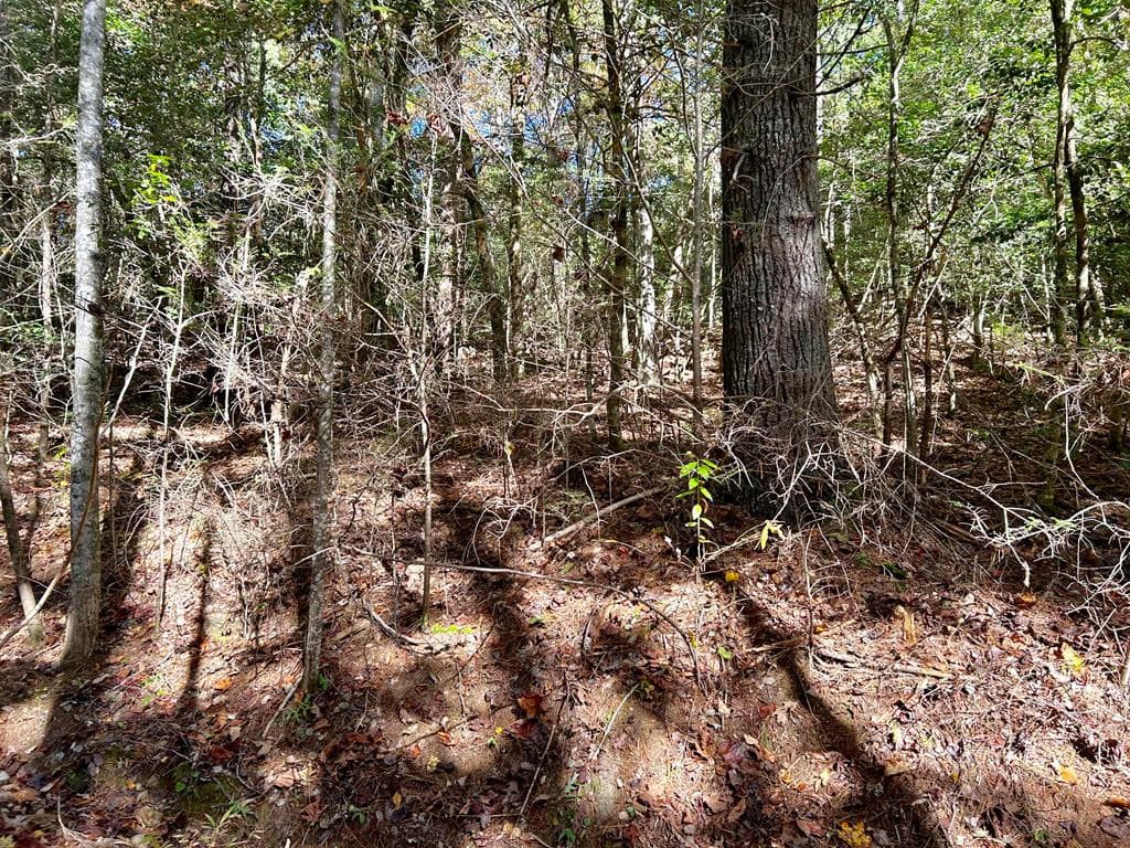 Lot 6 Beaverdam Loop, Murphy, NC 28906