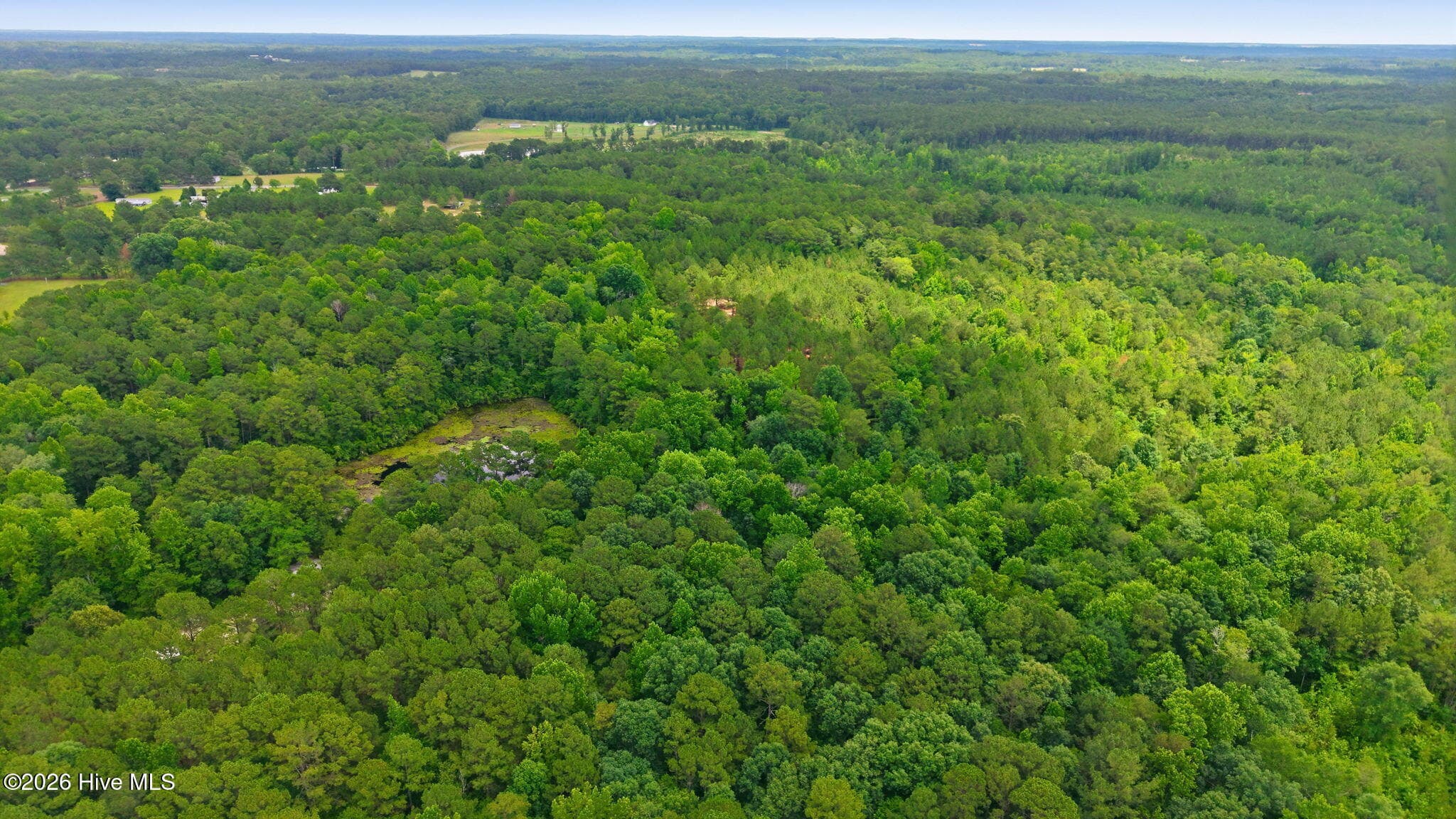 Wooded at 329 Cypress Farm Road, Cameron, NC 28326, photo 6 of 13