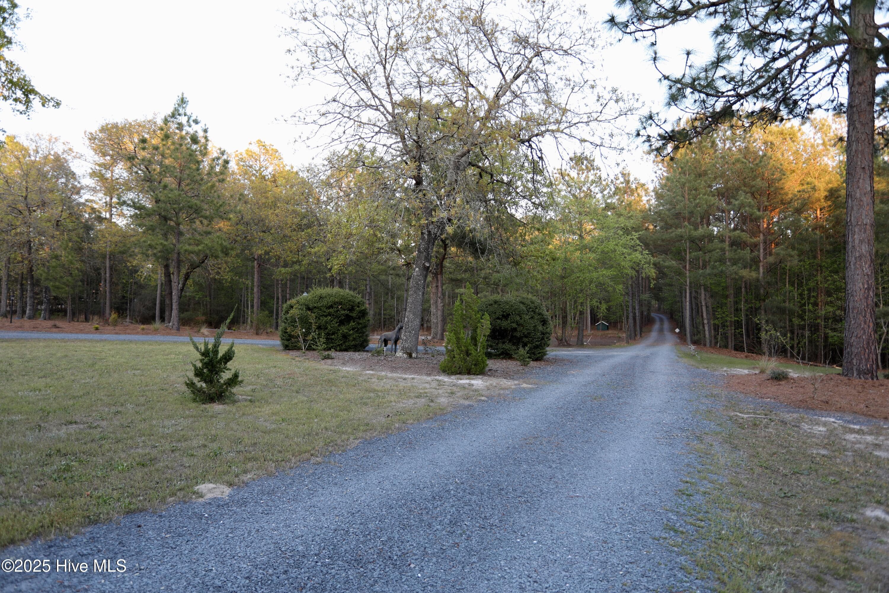 Single Family Residence at 6680 Beulah Hill Church Road, West End, NC 27376, photo 13 of 13