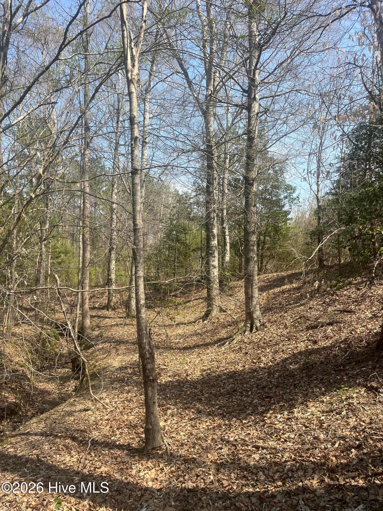 Tbd Healing Acres Lane, Carthage, NC 28327