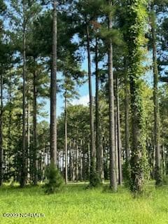 96 96 278 Dawson Creek Blvd, Oriental, NC 28571