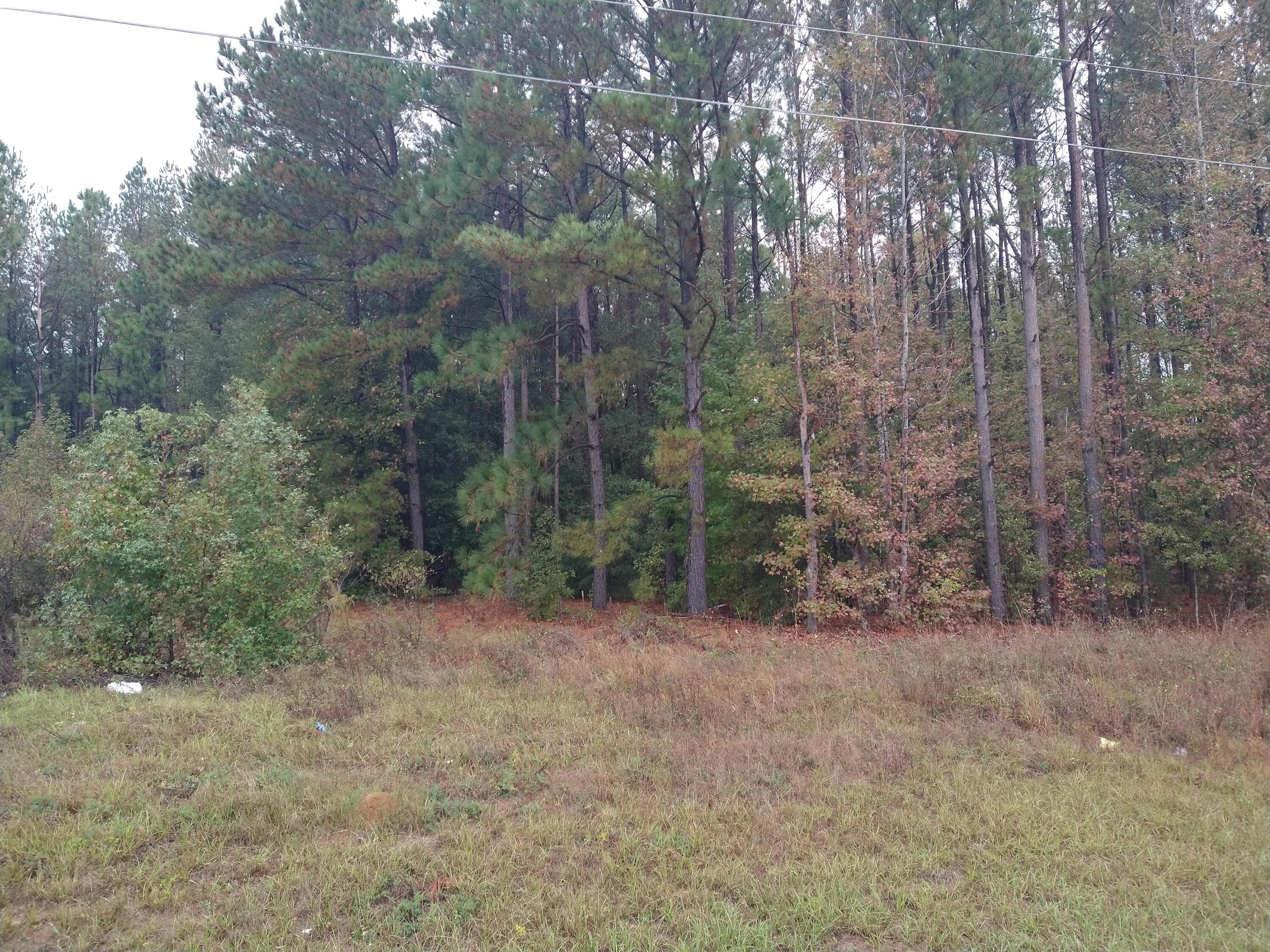 Unimproved Land at 0 Gresham Road, Keysville, GA 30816, photo 2 of 6