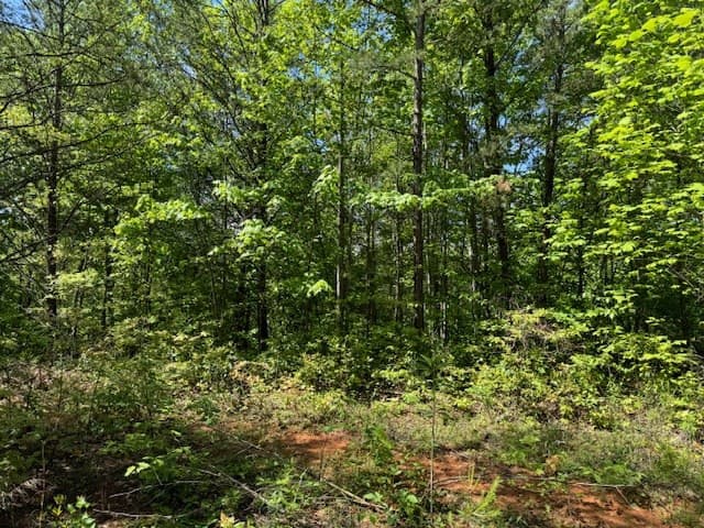 Land at Lot 11 Paradise, Marble, NC 28905, photo 4 of 6