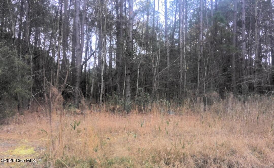 55 55 Mable Street, Kinston, NC 28504