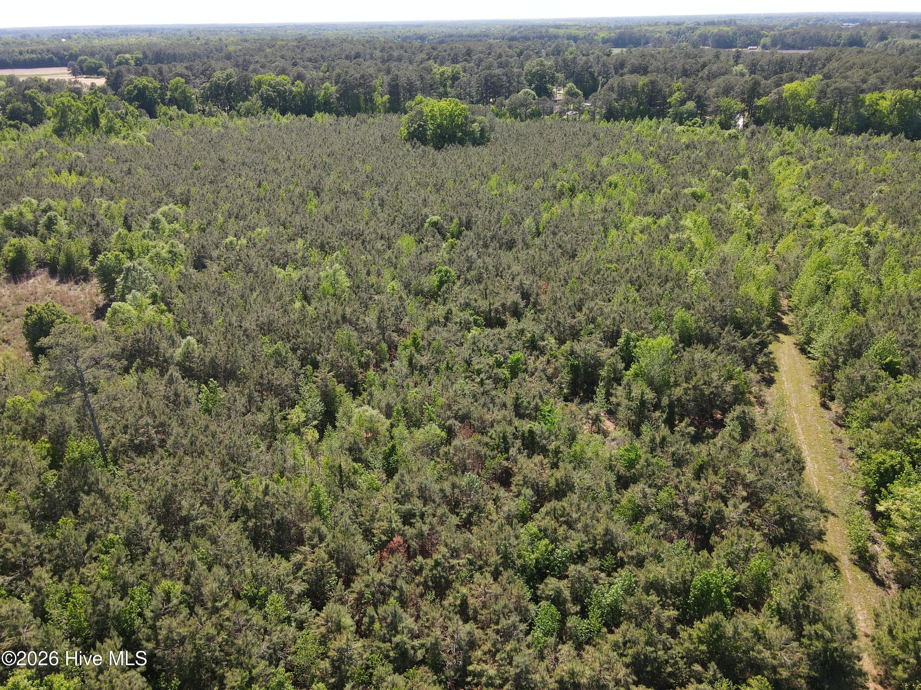 Undeveloped at 0 Colice Hall Lane, Ahoskie, NC 27910, photo 15 of 20