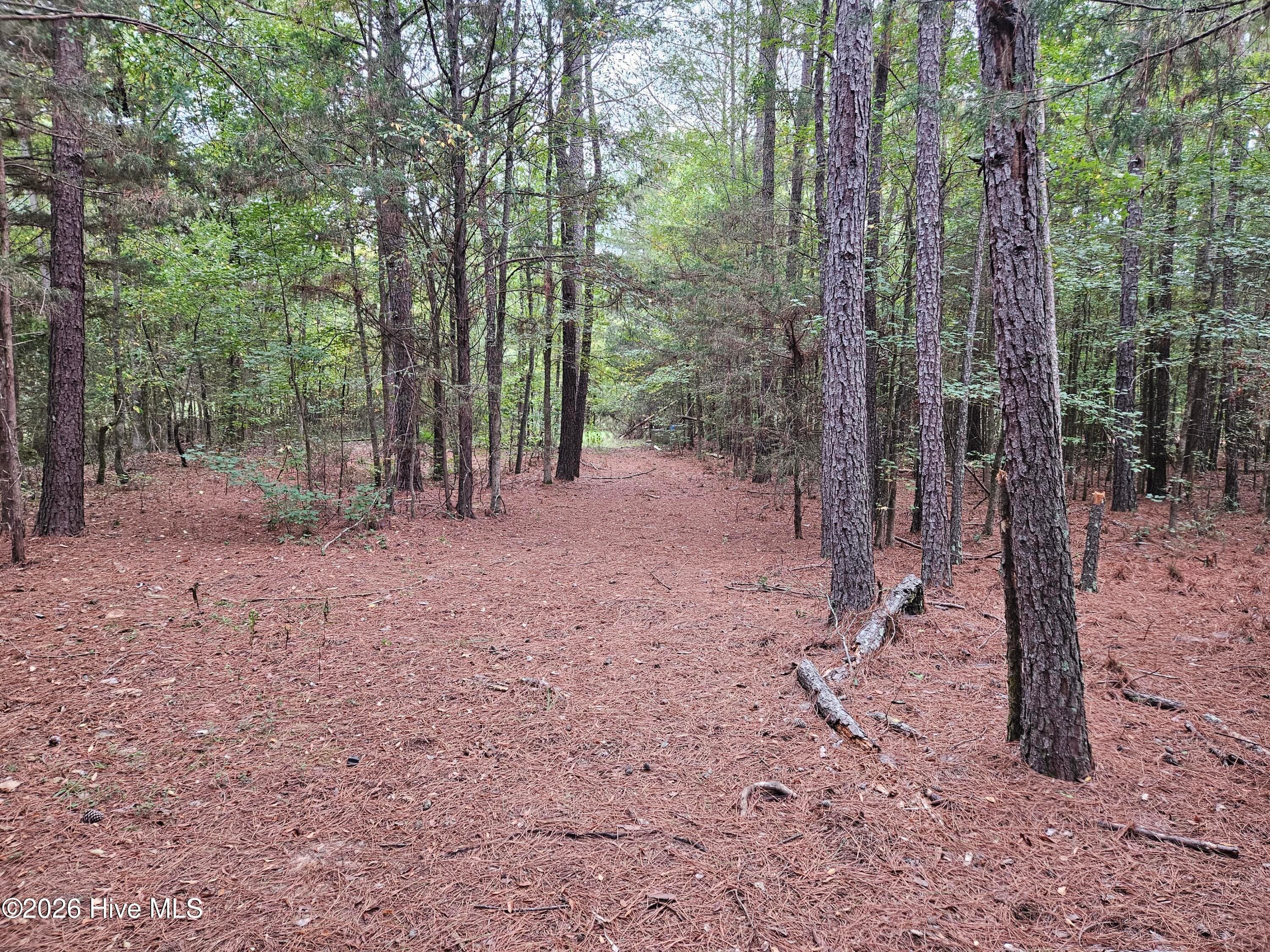Wooded at 0 Washington Highway, Lincolnton, GA 30817, photo 9 of 11