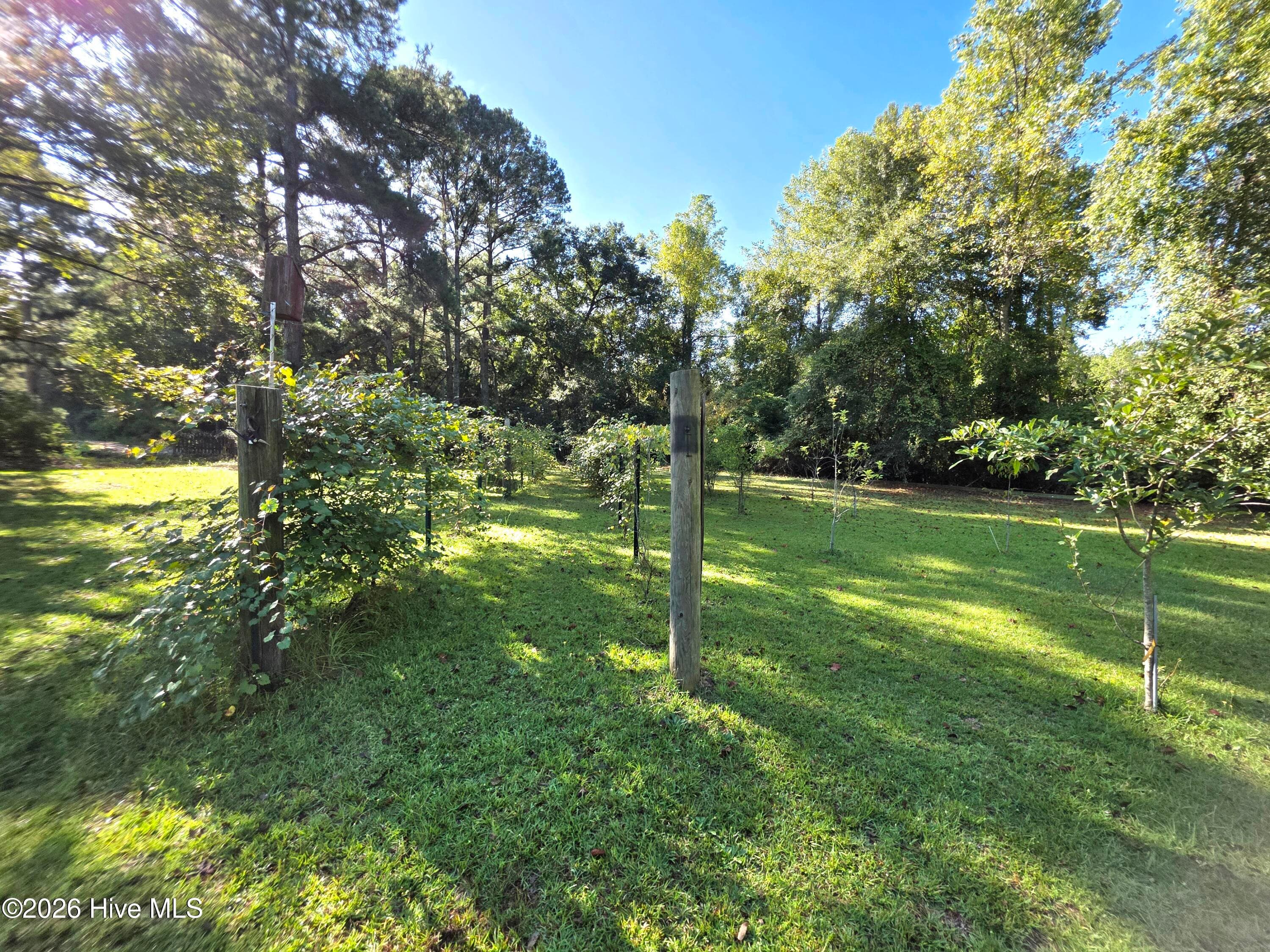 Single Family Residence at 170 South River Road, Autryville, NC 28318, photo 53 of 73