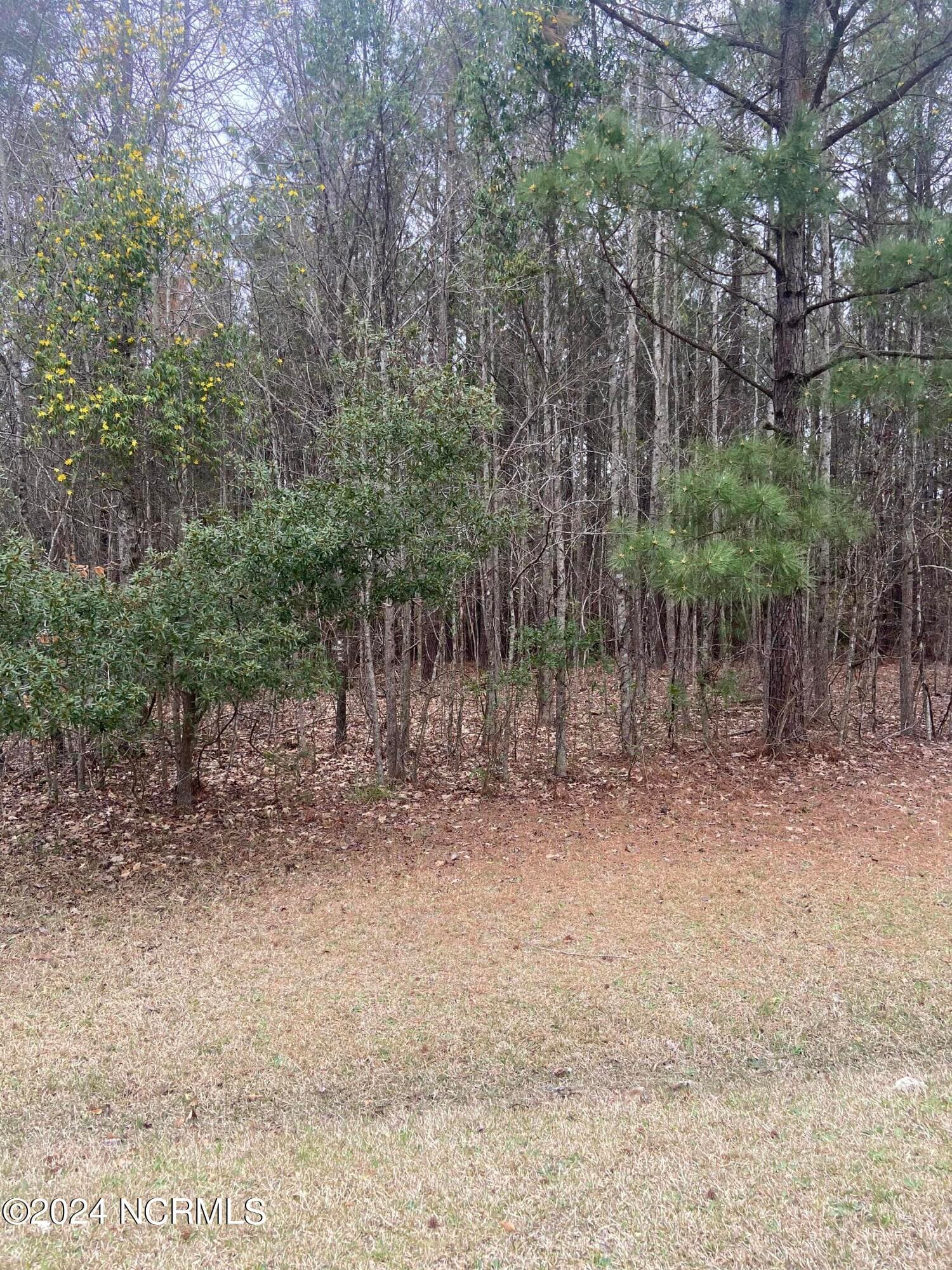 Lot 88 88 Johnson Drive, Hertford, NC 27944