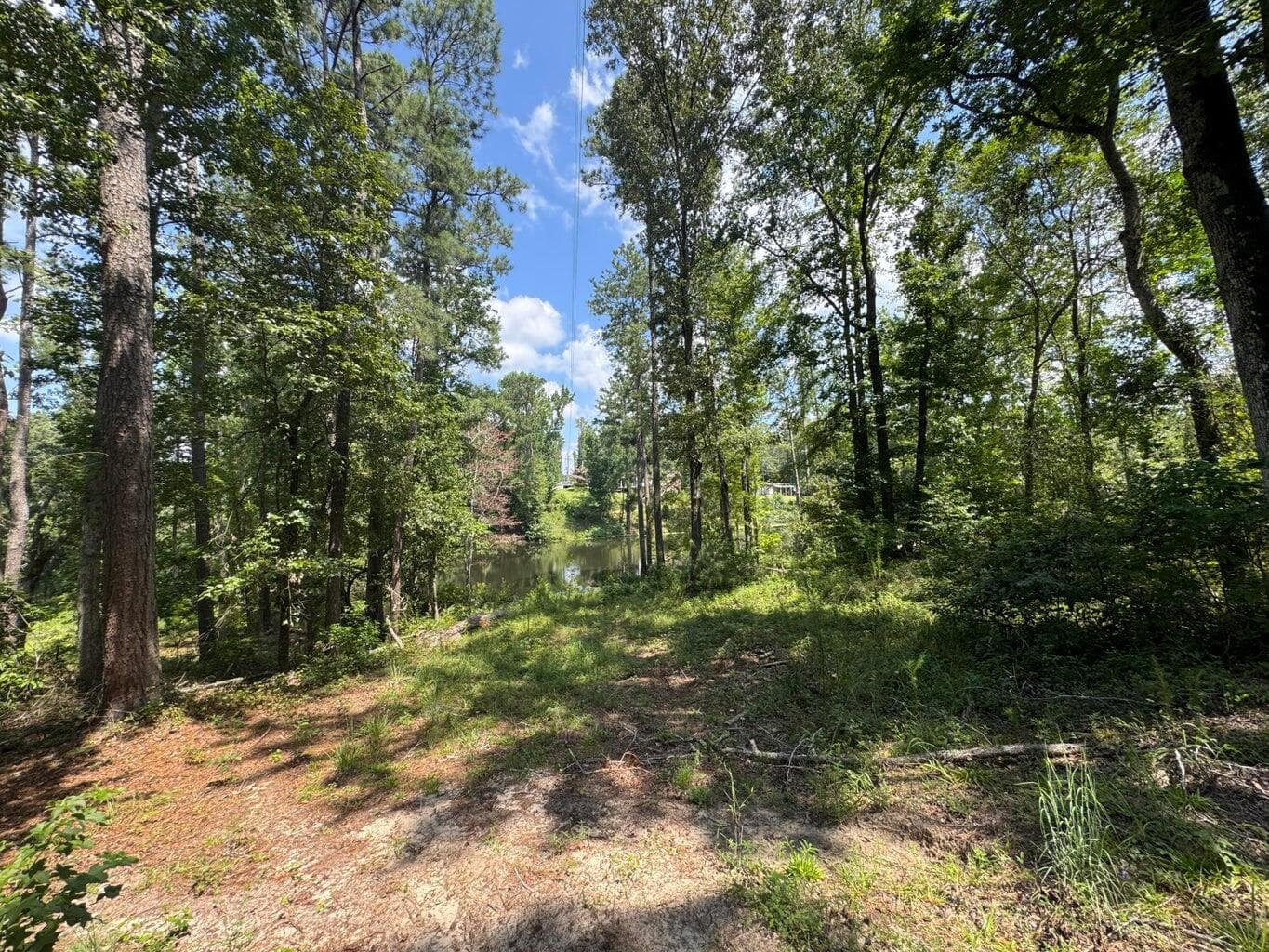 Residential Lot at 0 Hummingbird Drive, Trenton, SC 29847, photo 13 of 14