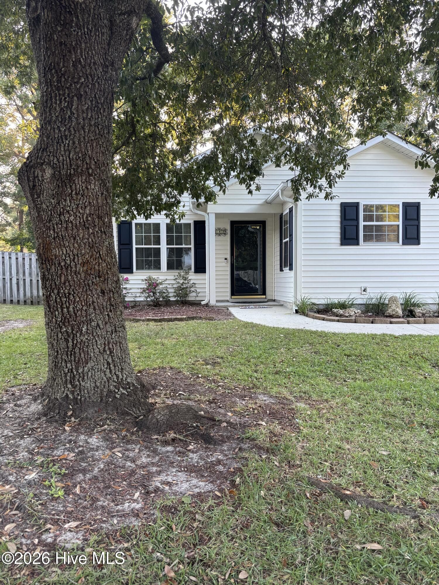 The front yard has shade and character with this mature tree - 637 Lanvale Hills Circle, Leland, NC 28451