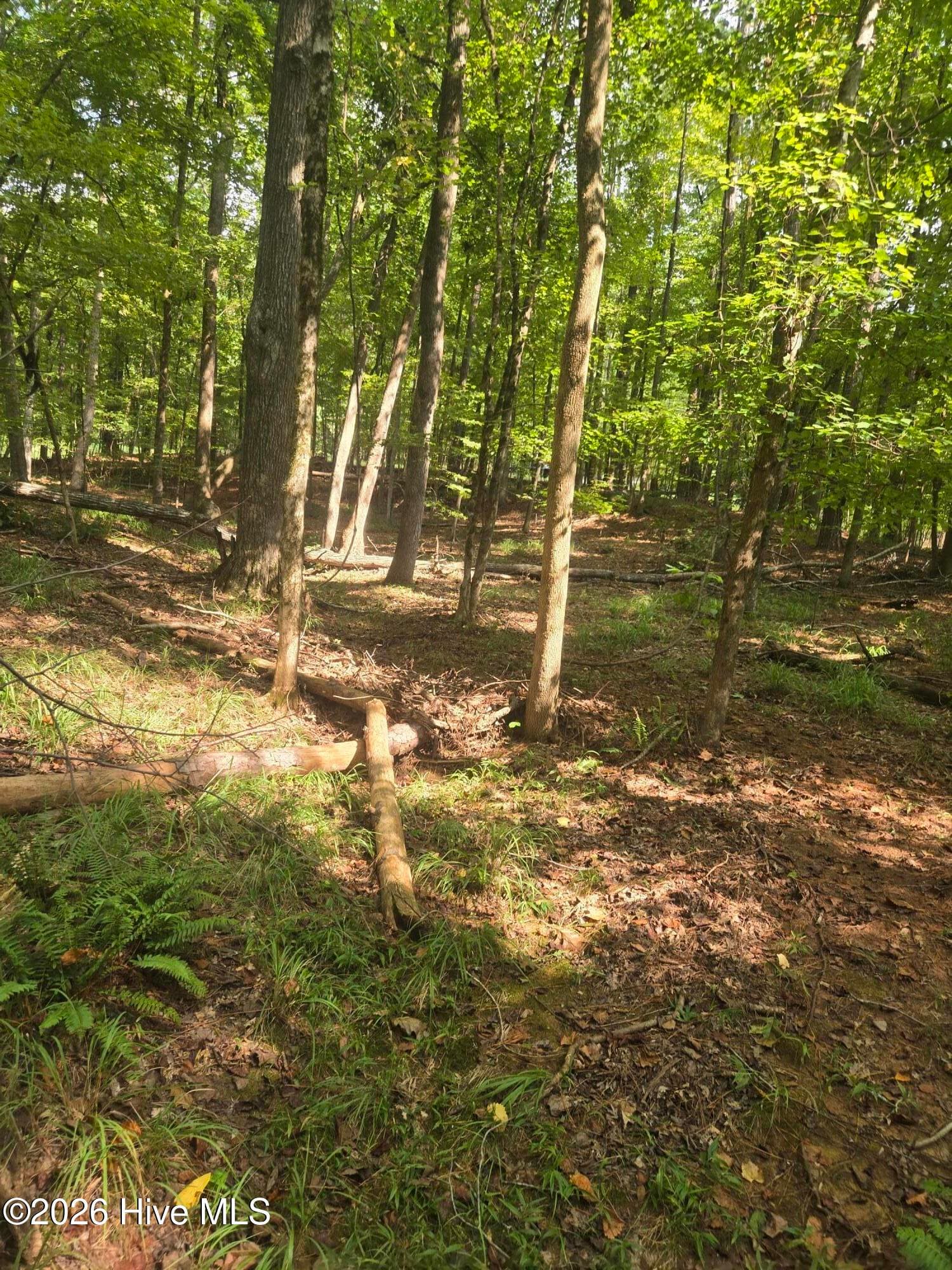 Residential Lot at Lot 12 Fishing Creek Estates Road, Lincolnton, GA 30817, photo 5 of 8
