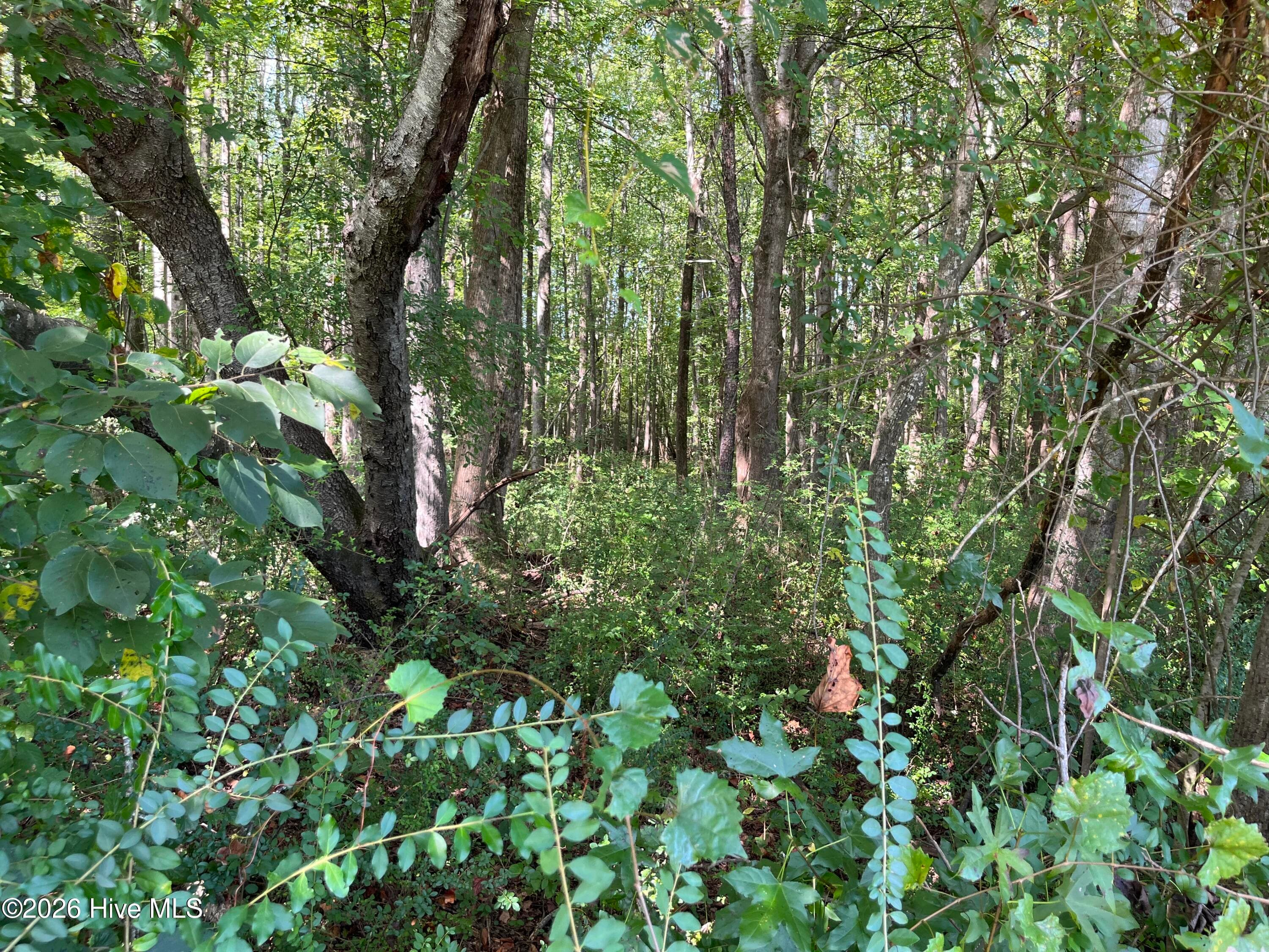 Undeveloped at 9011 Pleasant Grove Church Road, Spring Hope, NC 27882, photo 3 of 11
