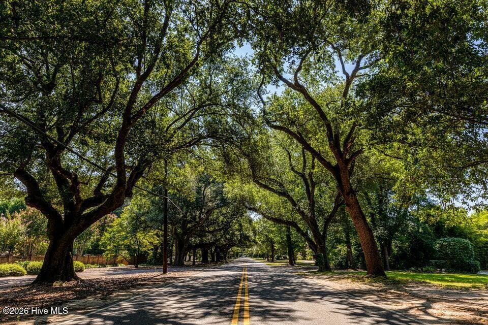 The iconic South Boundary Avenue - 411 Longshadow Drive, Aiken, SC 29803